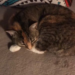 Meet your Posher, Catherine